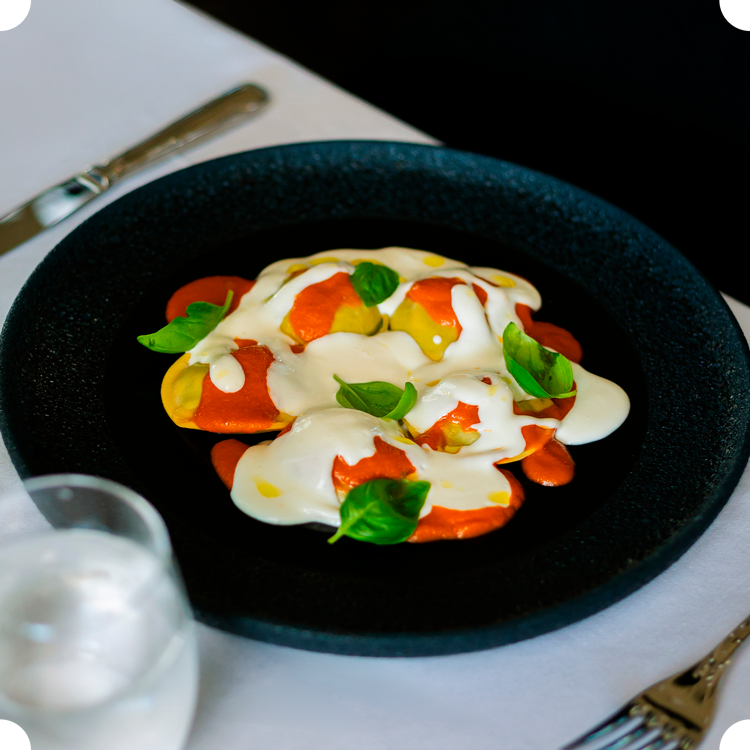 TOTO LIVE IN ABU DHABI visual data 2