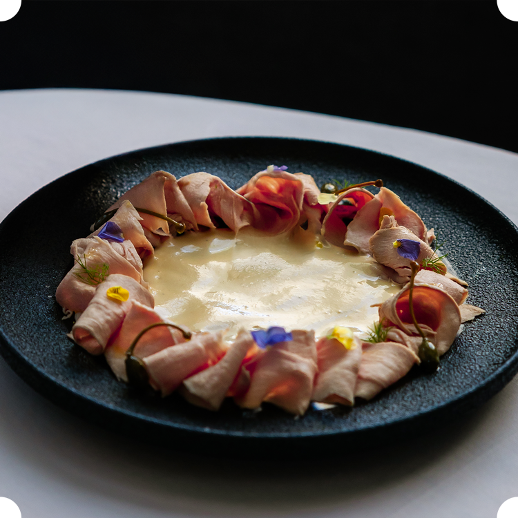 TOTO LIVE IN ABU DHABI visual data 5